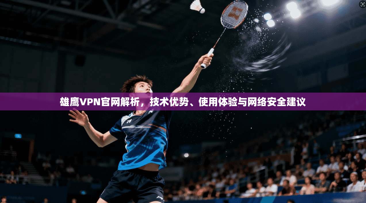 雄鹰VPN官网解析，技术优势、使用体验与网络安全建议  第1张
