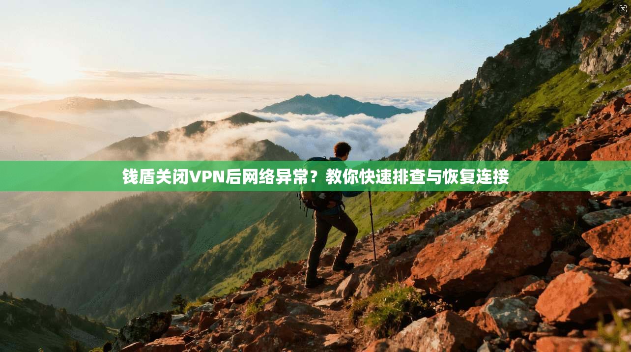 钱盾关闭VPN后网络异常？教你快速排查与恢复连接  第1张