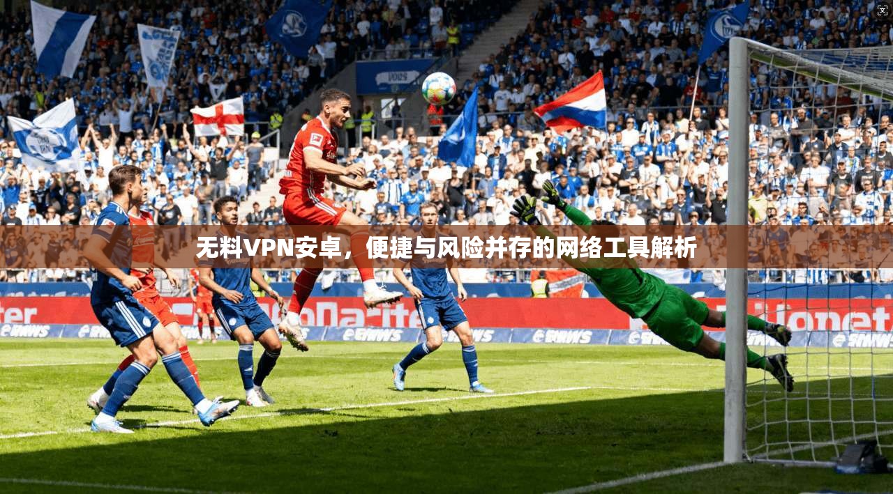 无料VPN安卓，便捷与风险并存的网络工具解析  第1张