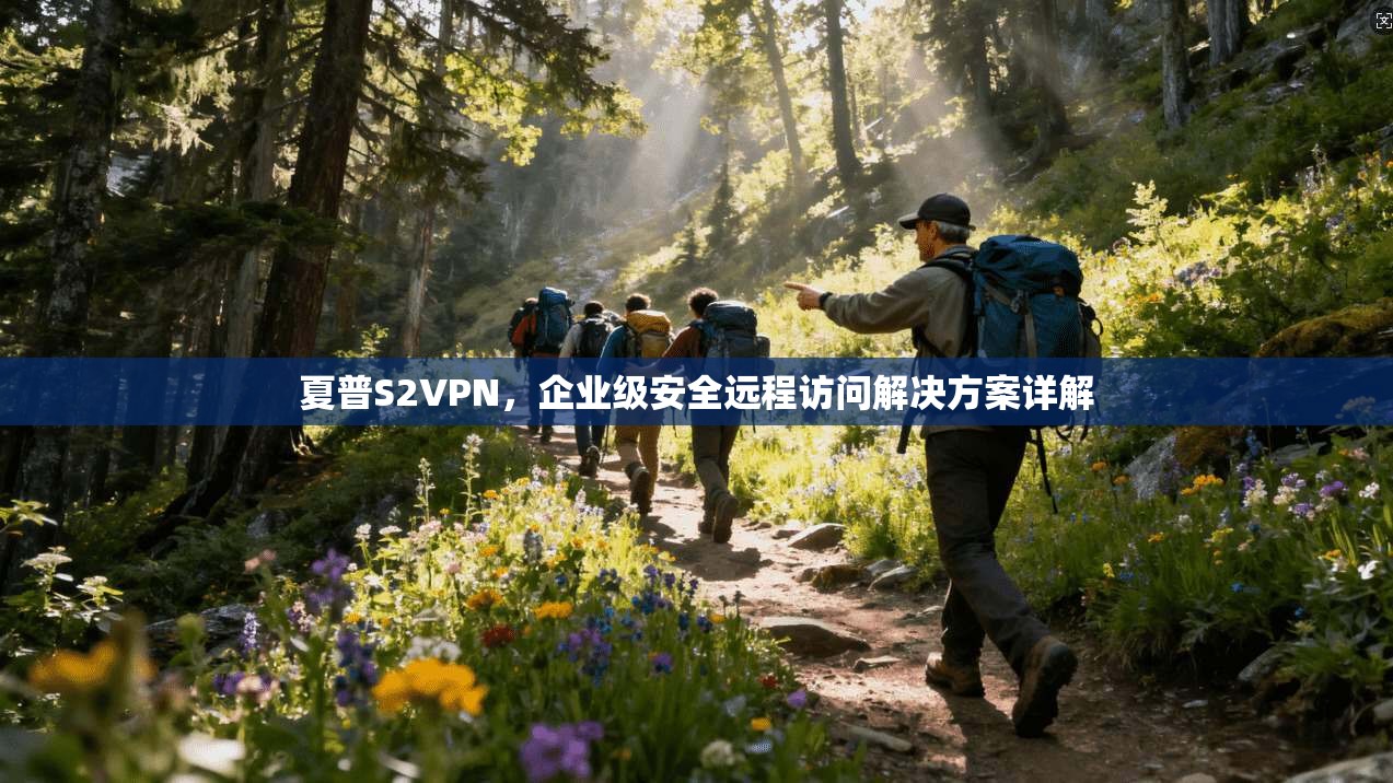 夏普S2VPN，企业级安全远程访问解决方案详解  第1张