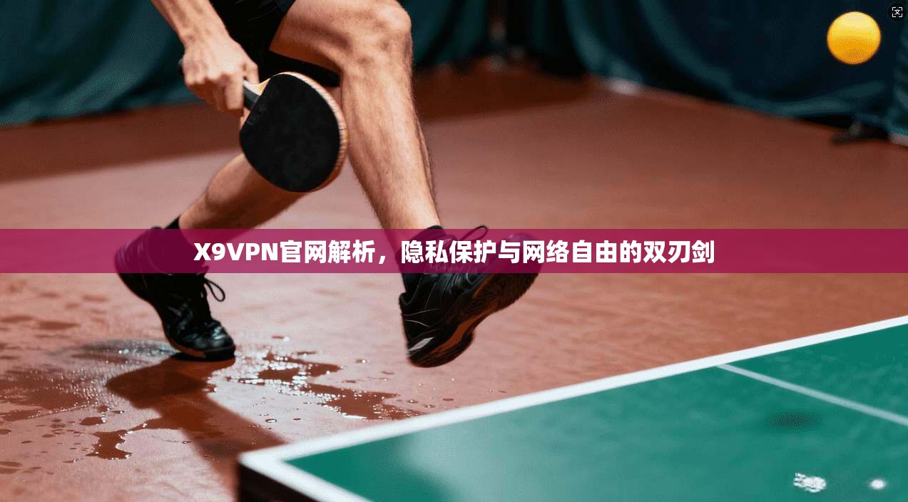 X9VPN官网解析，隐私保护与网络自由的双刃剑  第1张