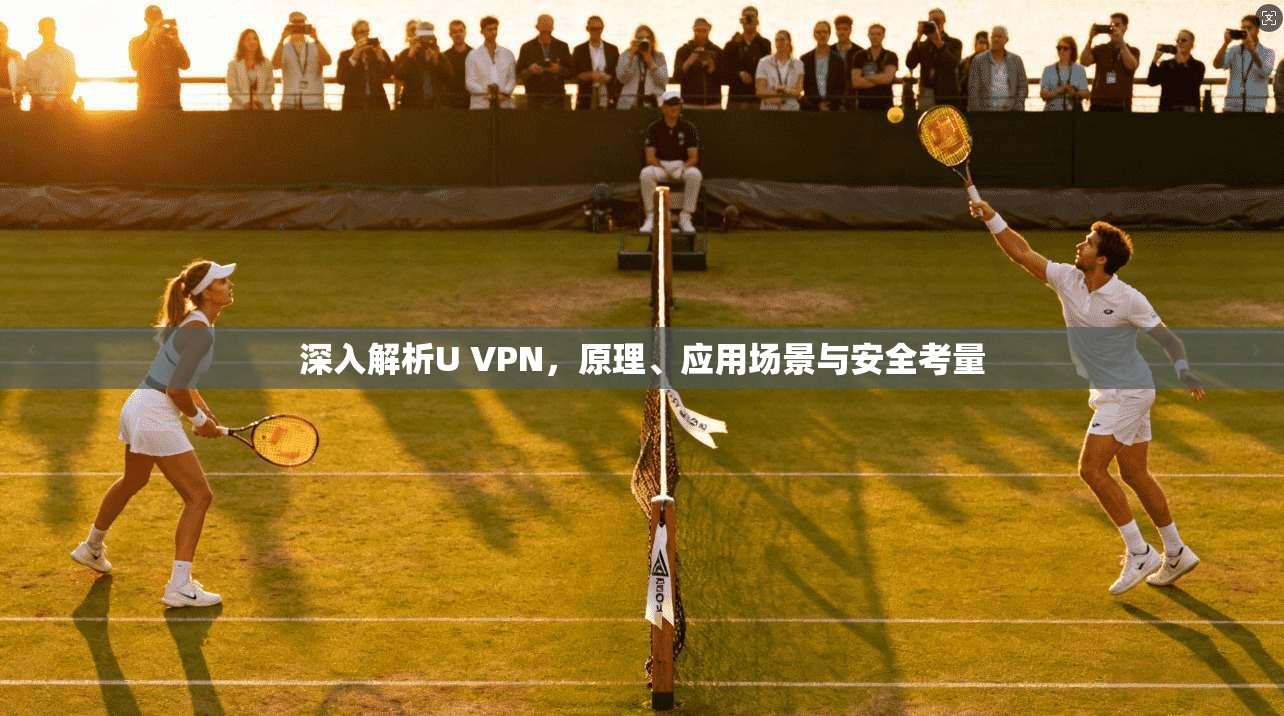 深入解析U VPN，原理、应用场景与安全考量