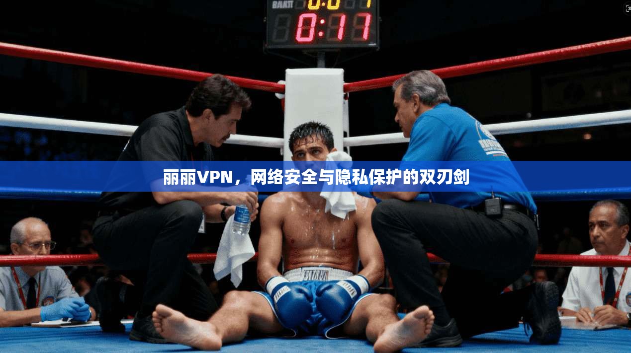 丽丽VPN，网络安全与隐私保护的双刃剑