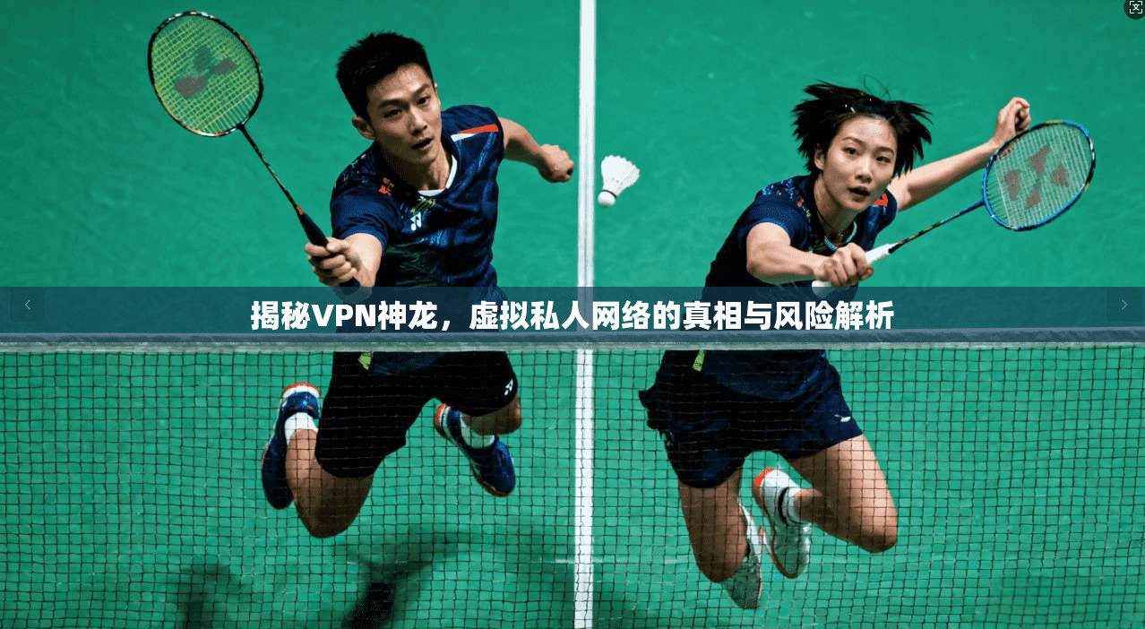 揭秘VPN神龙,虚拟私人网络的真相与风险解析 揭秘VPN神龙,虚拟私人网络的真相与风险解析
