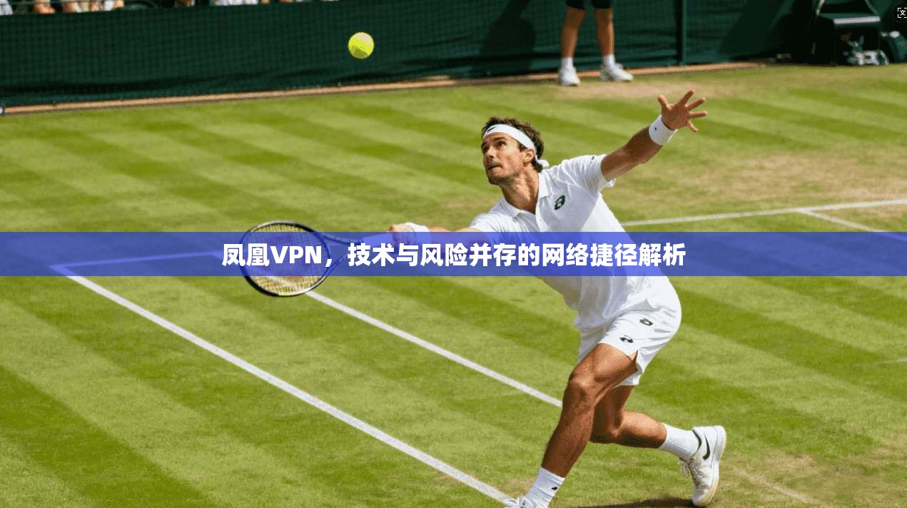 凤凰VPN，技术与风险并存的网络捷径解析