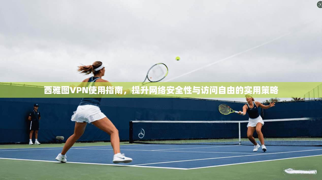 西雅图VPN使用指南，提升网络安全性与访问自由的实用策略