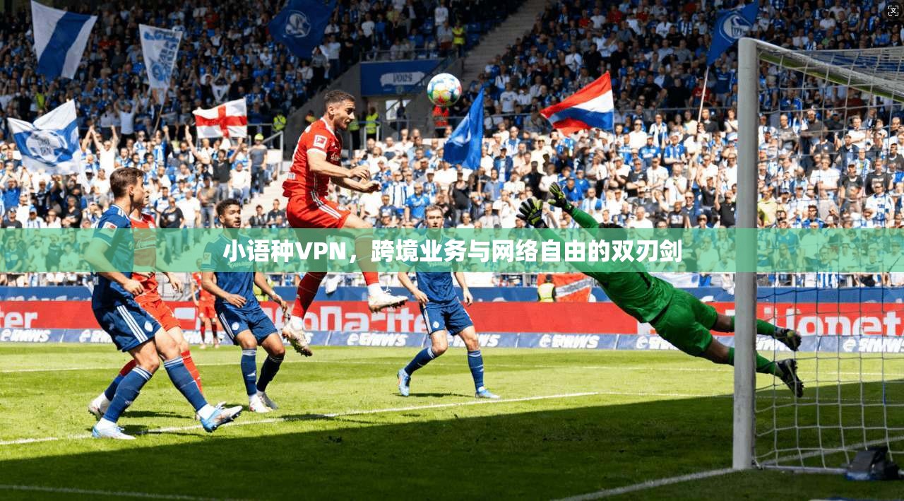 小语种VPN，跨境业务与网络自由的双刃剑