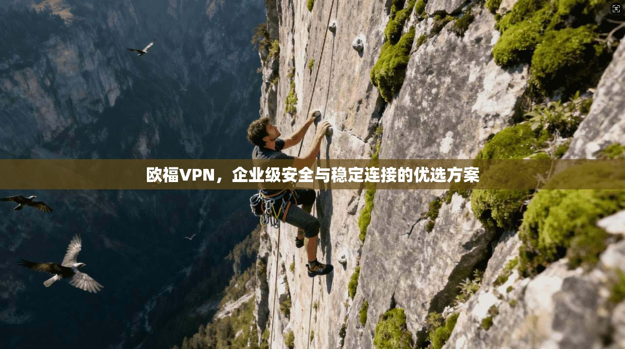 欧福VPN，企业级安全与稳定连接的优选方案