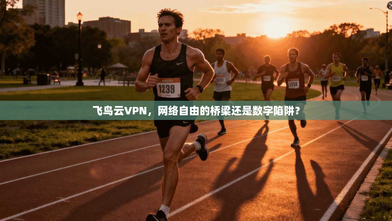 飞鸟云VPN，网络自由的桥梁还是数字陷阱？