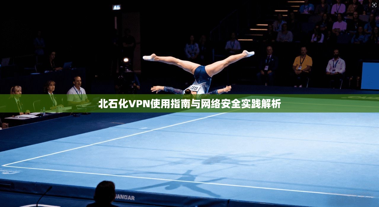 北石化VPN使用指南与网络安全实践解析