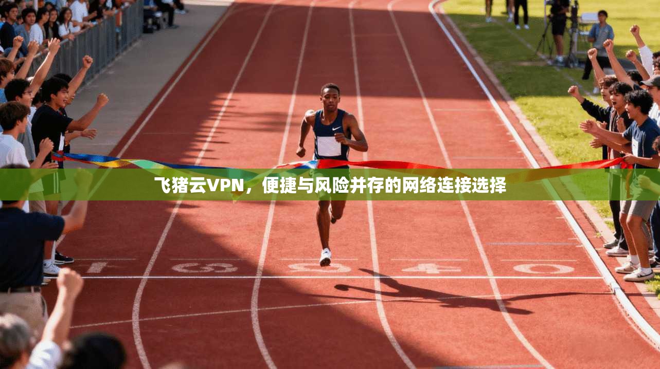 飞猪云VPN，便捷与风险并存的网络连接选择