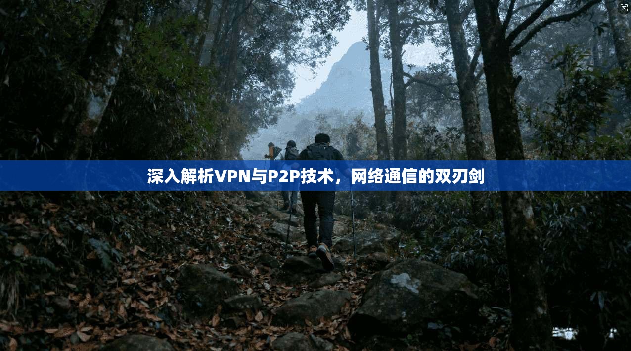 深入解析VPN与P2P技术，网络通信的双刃剑