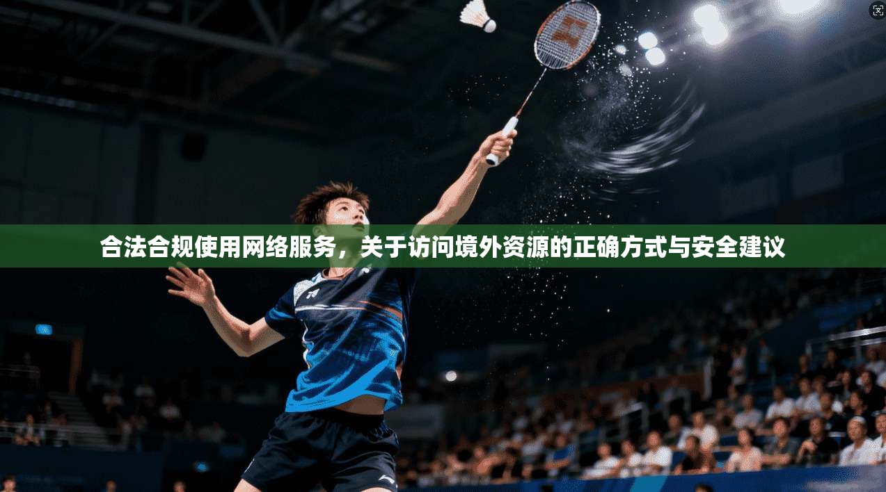 合法合规使用网络服务，关于访问境外资源的正确方式与安全建议
