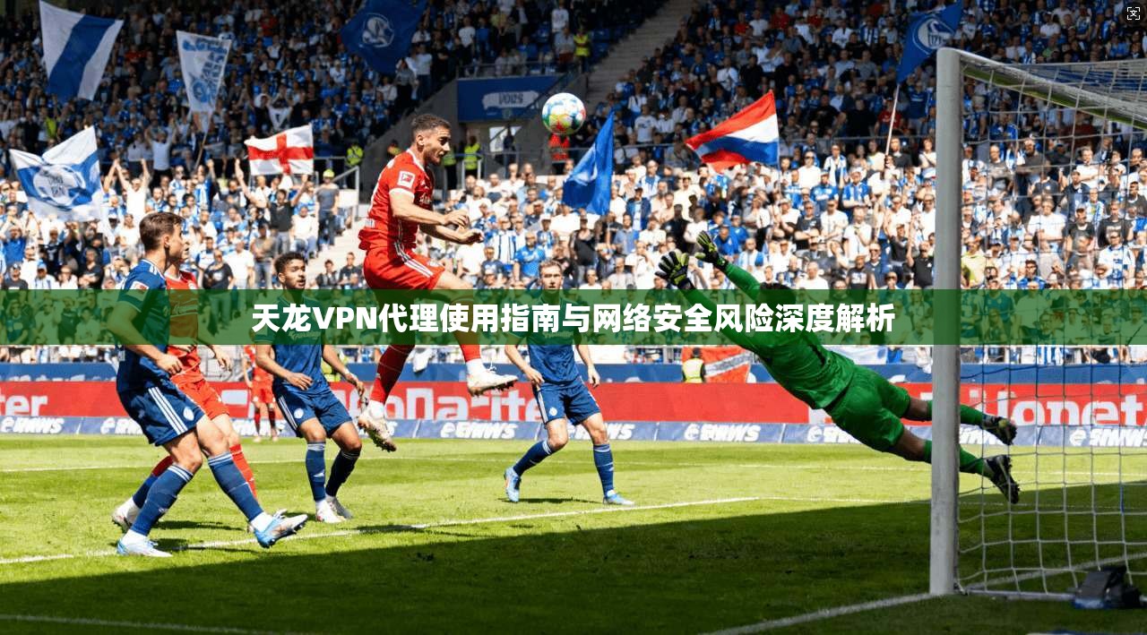天龙VPN代理使用指南与网络安全风险深度解析
