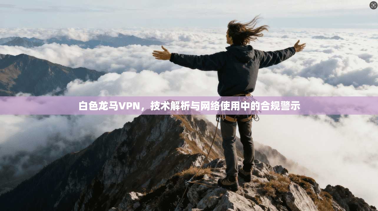 白色龙马VPN，技术解析与网络使用中的合规警示