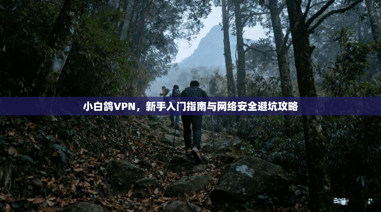 小白鸽VPN，新手入门指南与网络安全避坑攻略