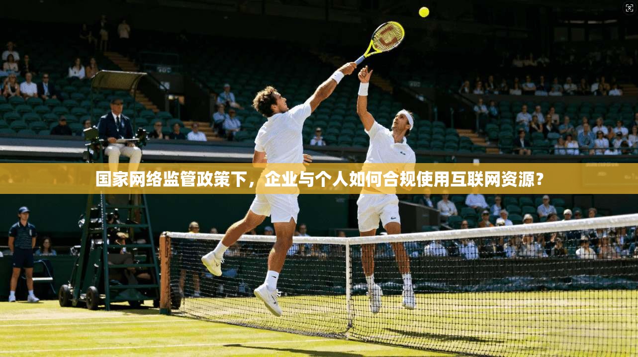 国家网络监管政策下，企业与个人如何合规使用互联网资源？