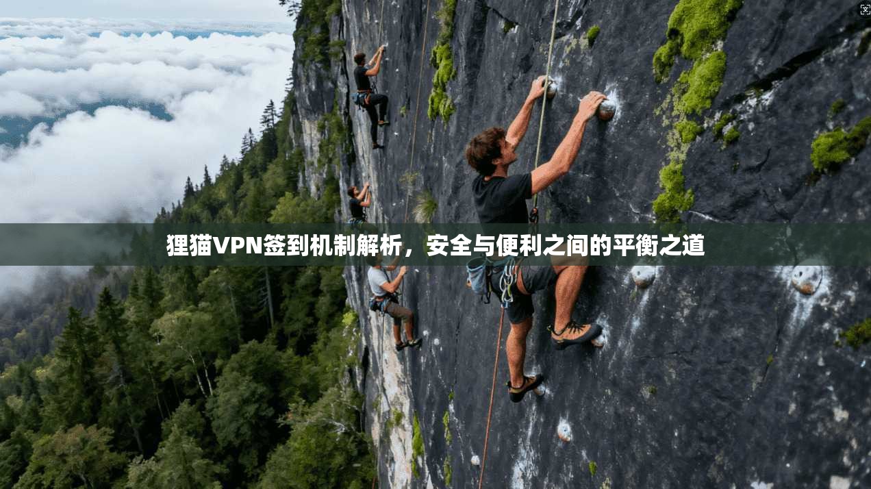 狸猫VPN签到机制解析，安全与便利之间的平衡之道