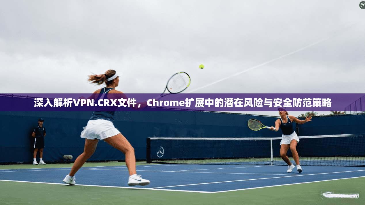 深入解析VPN.CRX文件，Chrome扩展中的潜在风险与安全防范策略
