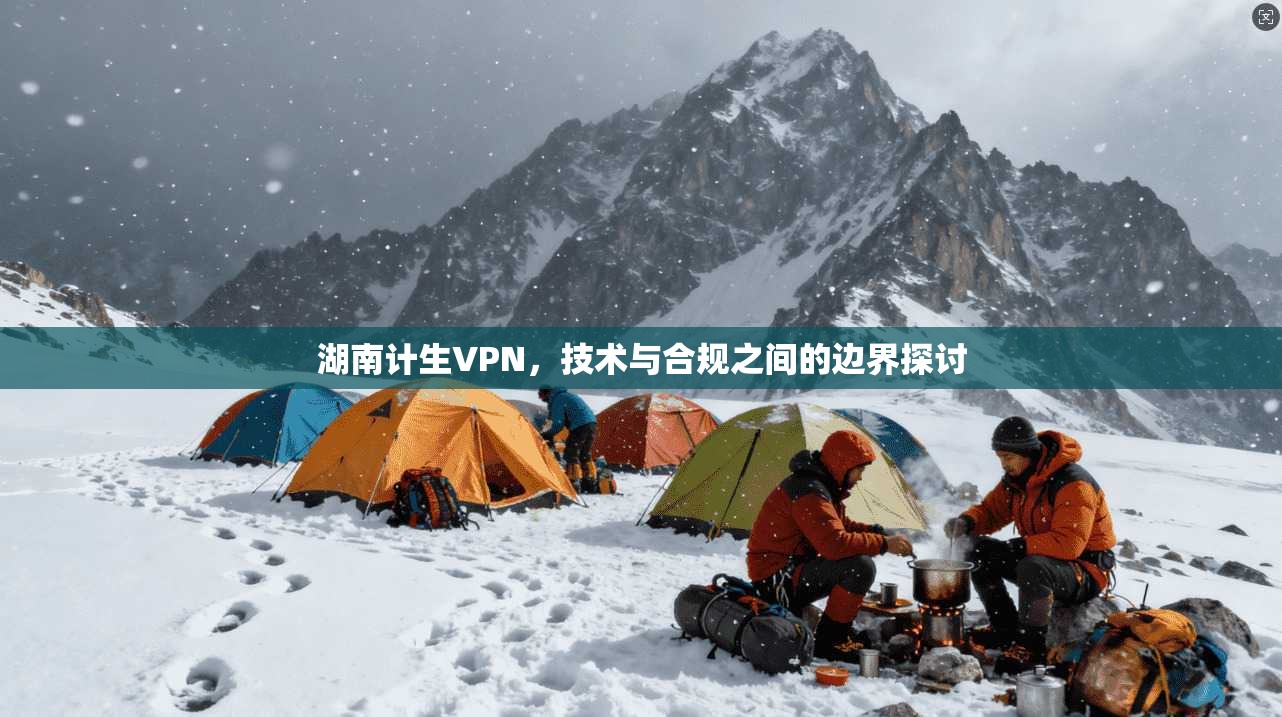 湖南计生VPN，技术与合规之间的边界探讨