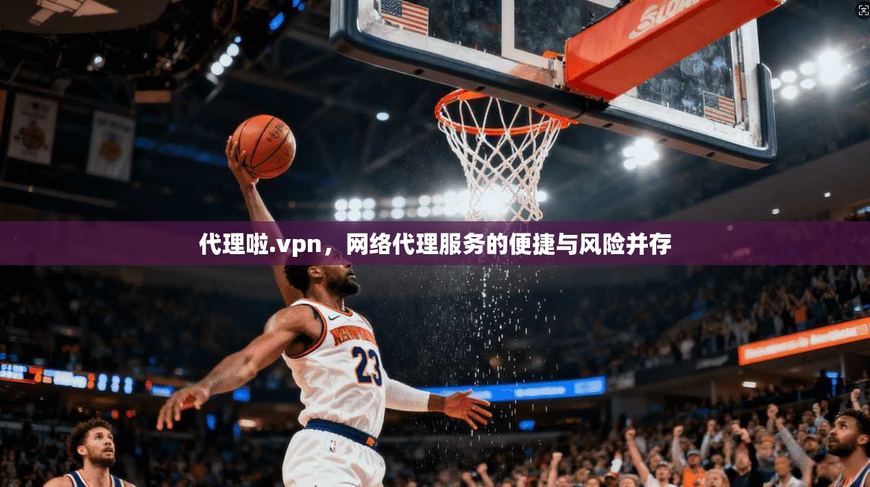 代理啦.vpn，网络代理服务的便捷与风险并存