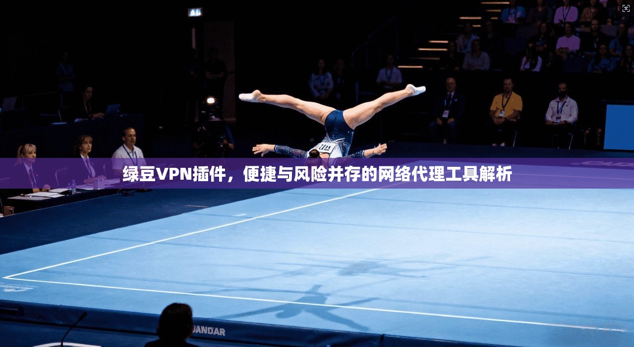 绿豆VPN插件，便捷与风险并存的网络代理工具解析