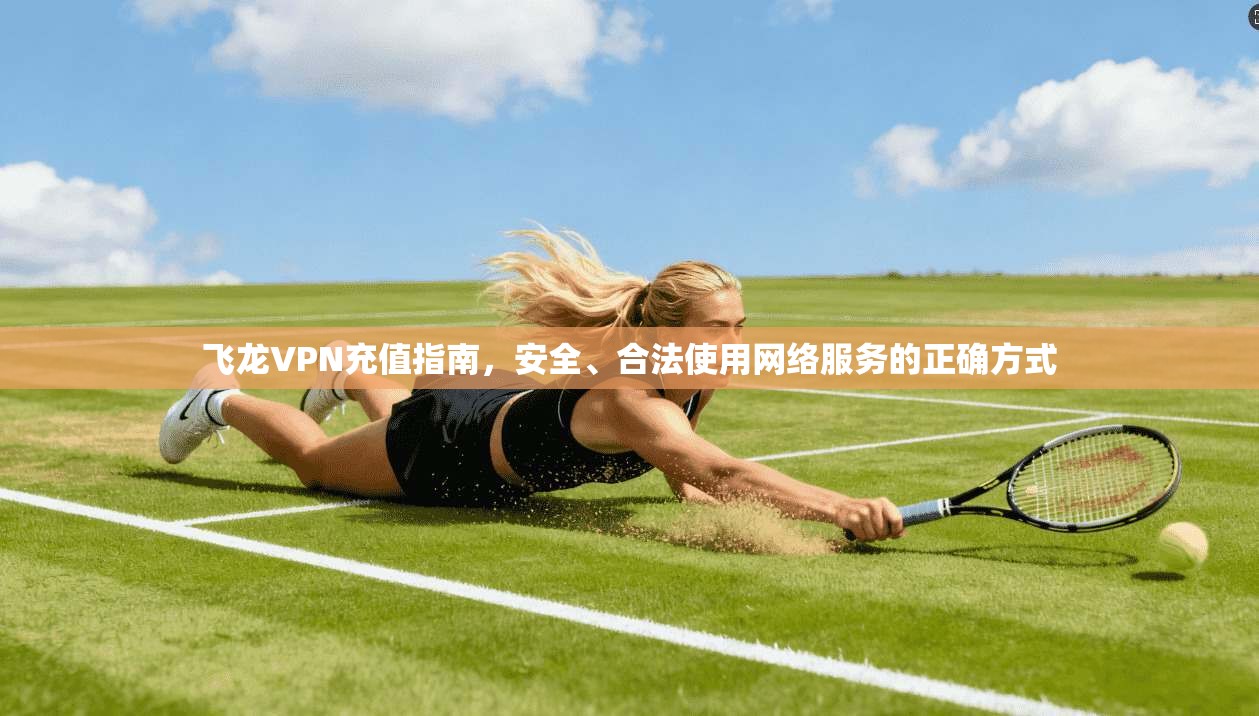 飞龙VPN充值指南，安全、合法使用网络服务的正确方式