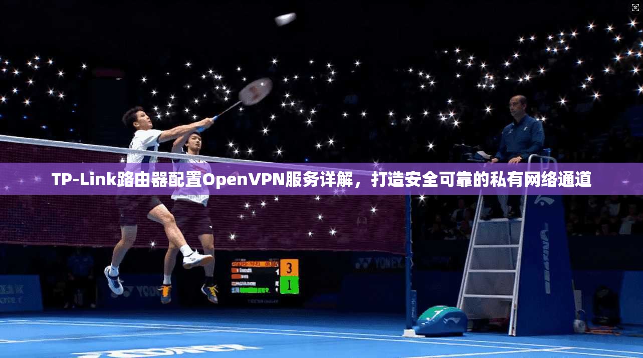TP-Link路由器配置OpenVPN服务详解,打造安全可靠的私有网络通道 TP-Link路由器配置OpenVPN服务详解,打造安全可靠的私有网络通道