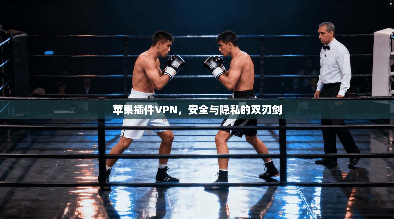 苹果插件VPN，安全与隐私的双刃剑