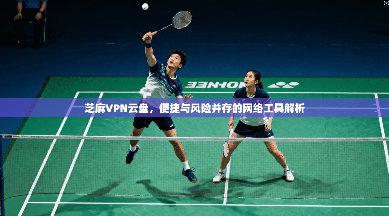 芝麻VPN云盘，便捷与风险并存的网络工具解析