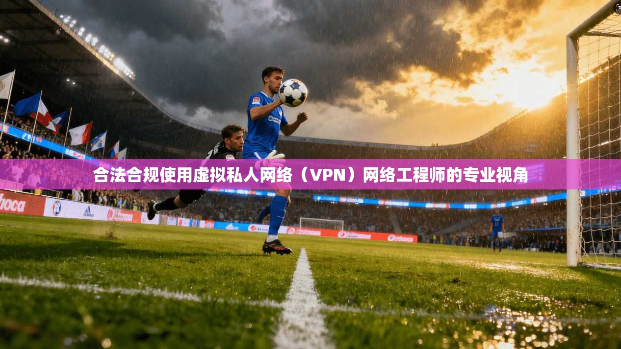 合法合规使用虚拟私人网络（VPN）网络工程师的专业视角