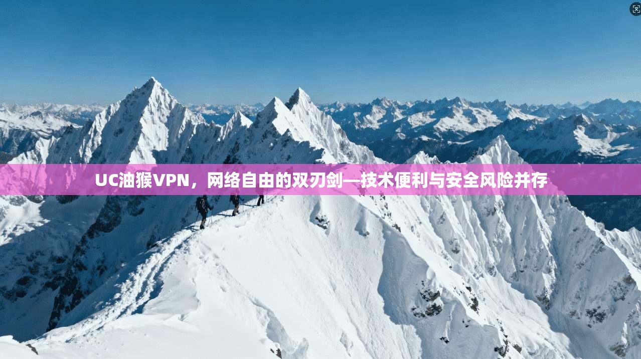 UC油猴VPN，网络自由的双刃剑—技术便利与安全风险并存