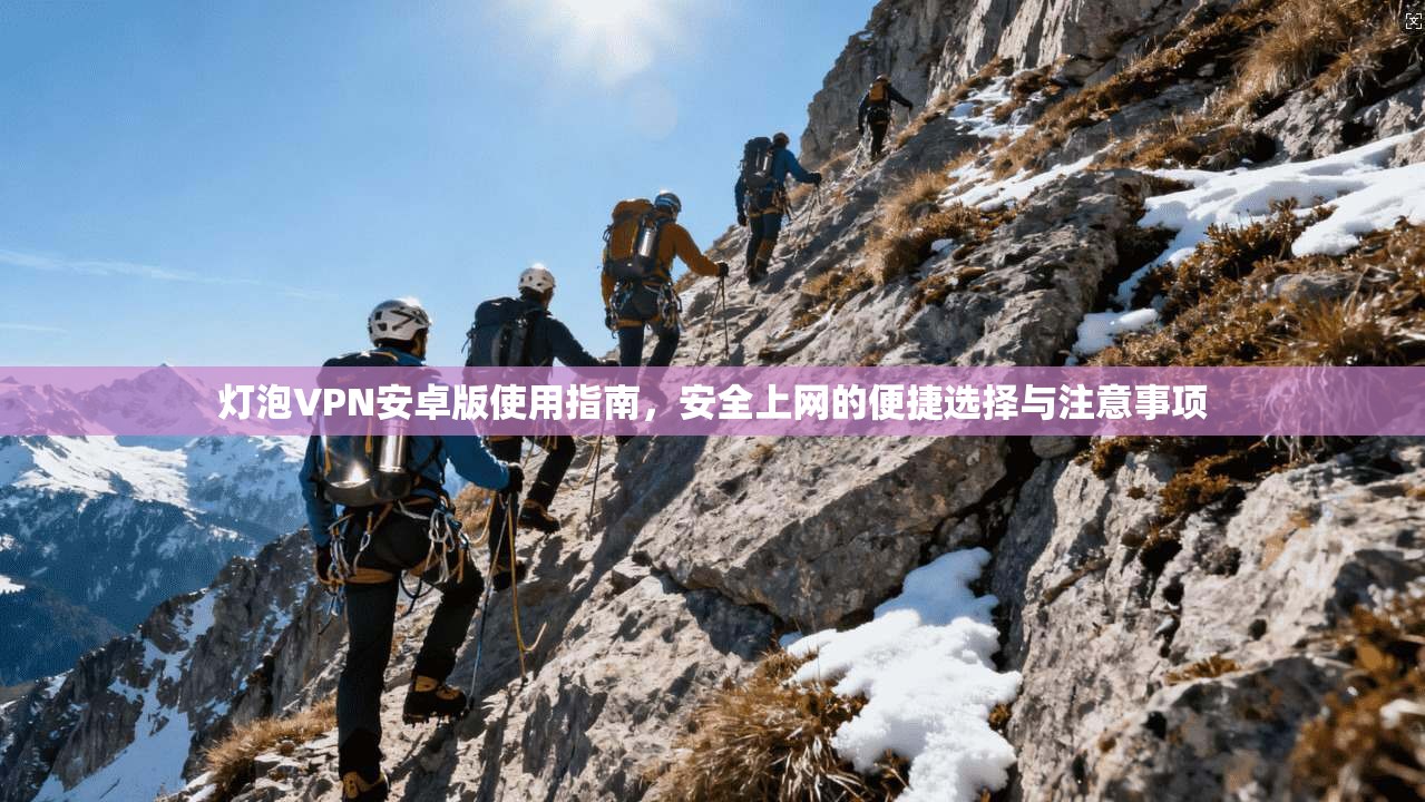 灯泡VPN安卓版使用指南，安全上网的便捷选择与注意事项