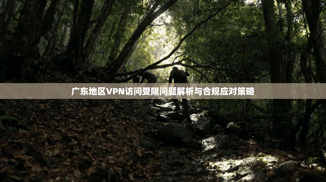 广东地区VPN访问受限问题解析与合规应对策略