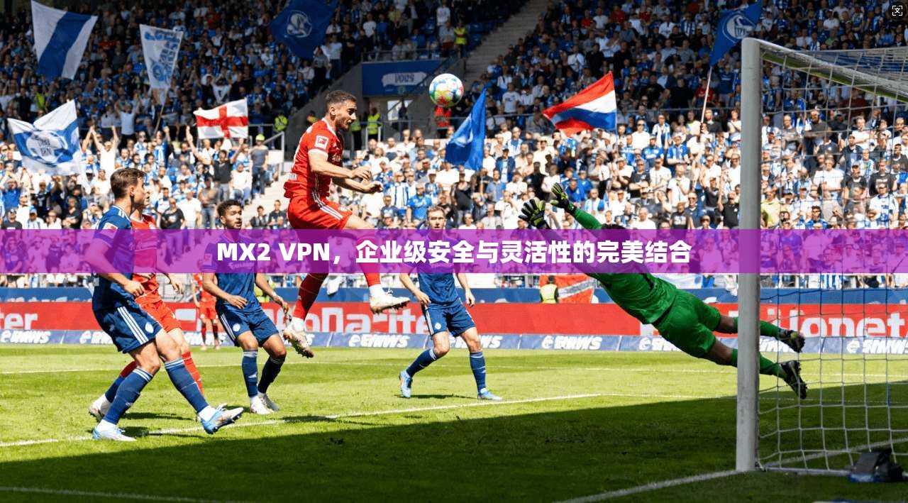 MX2 VPN，企业级安全与灵活性的完美结合