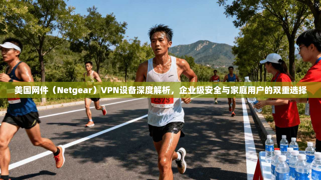 美国网件（Netgear）VPN设备深度解析，企业级安全与家庭用户的双重选择