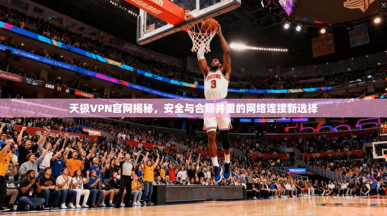 天极VPN官网揭秘，安全与合规并重的网络连接新选择