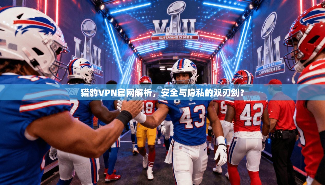 猎豹VPN官网解析，安全与隐私的双刃剑？