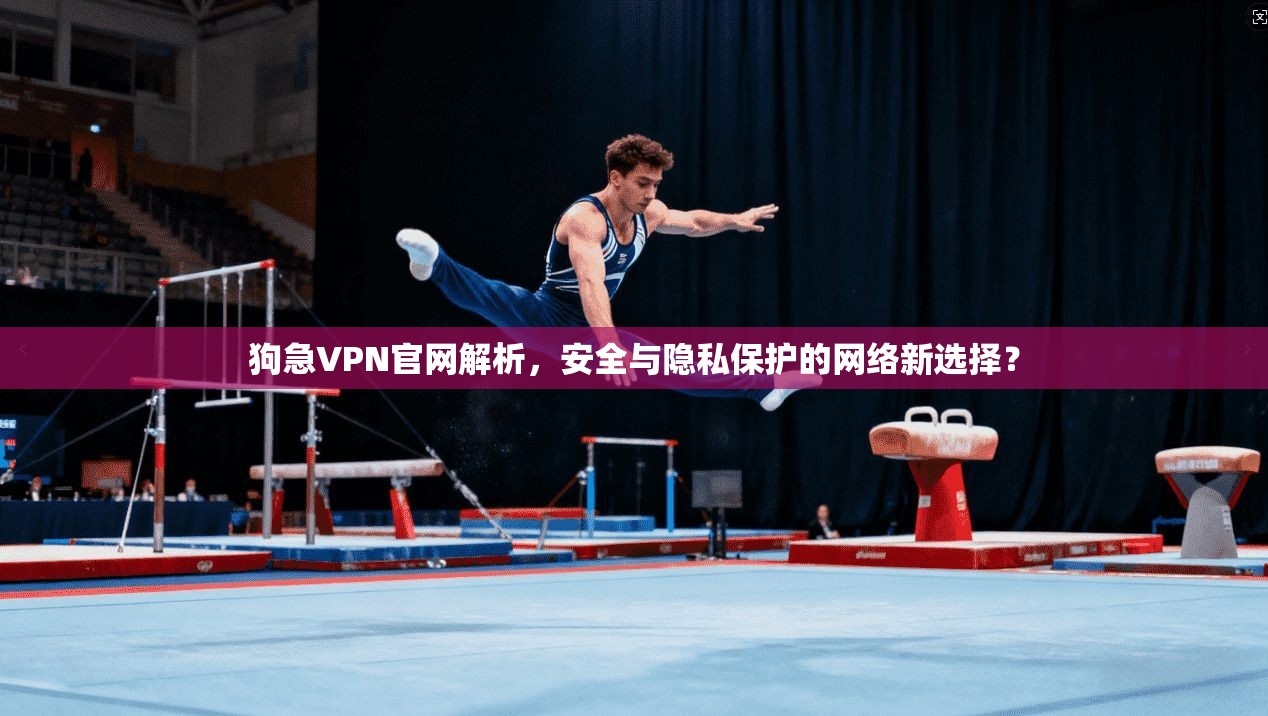 狗急VPN官网解析,安全与隐私保护的网络新选择? 狗急VPN官网解析,安全与隐私保护的网络新选择?