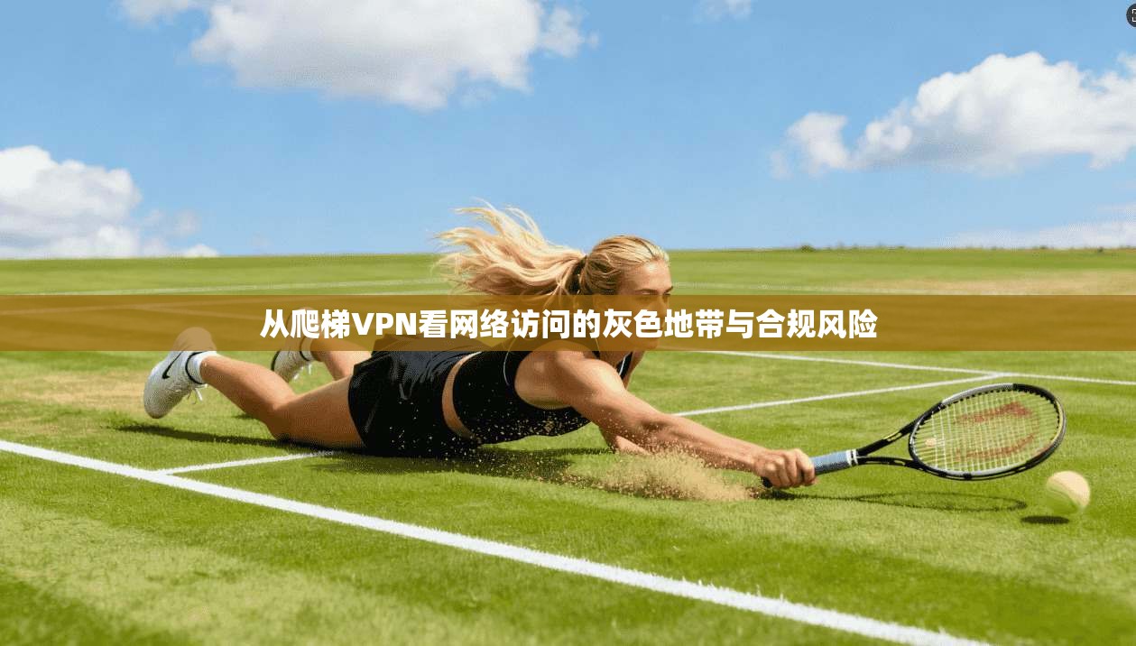 从爬梯VPN看网络访问的灰色地带与合规风险
