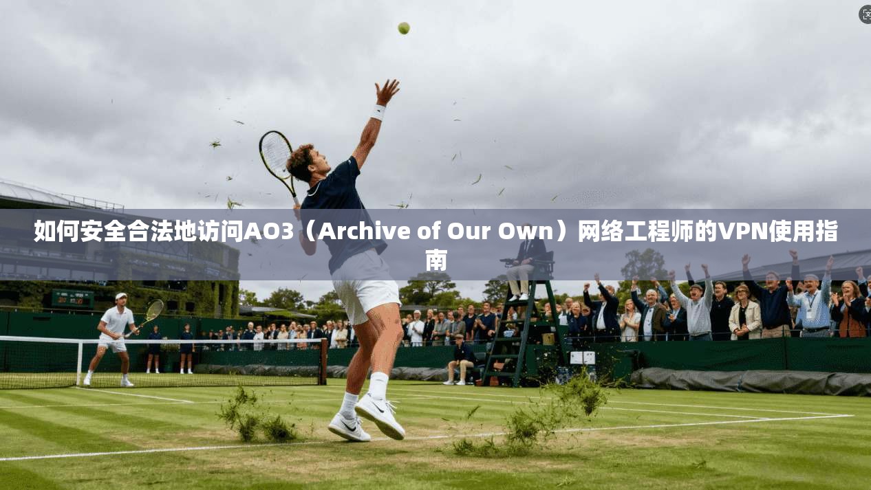 如何安全合法地访问AO3（Archive of Our Own）网络工程师的VPN使用指南
