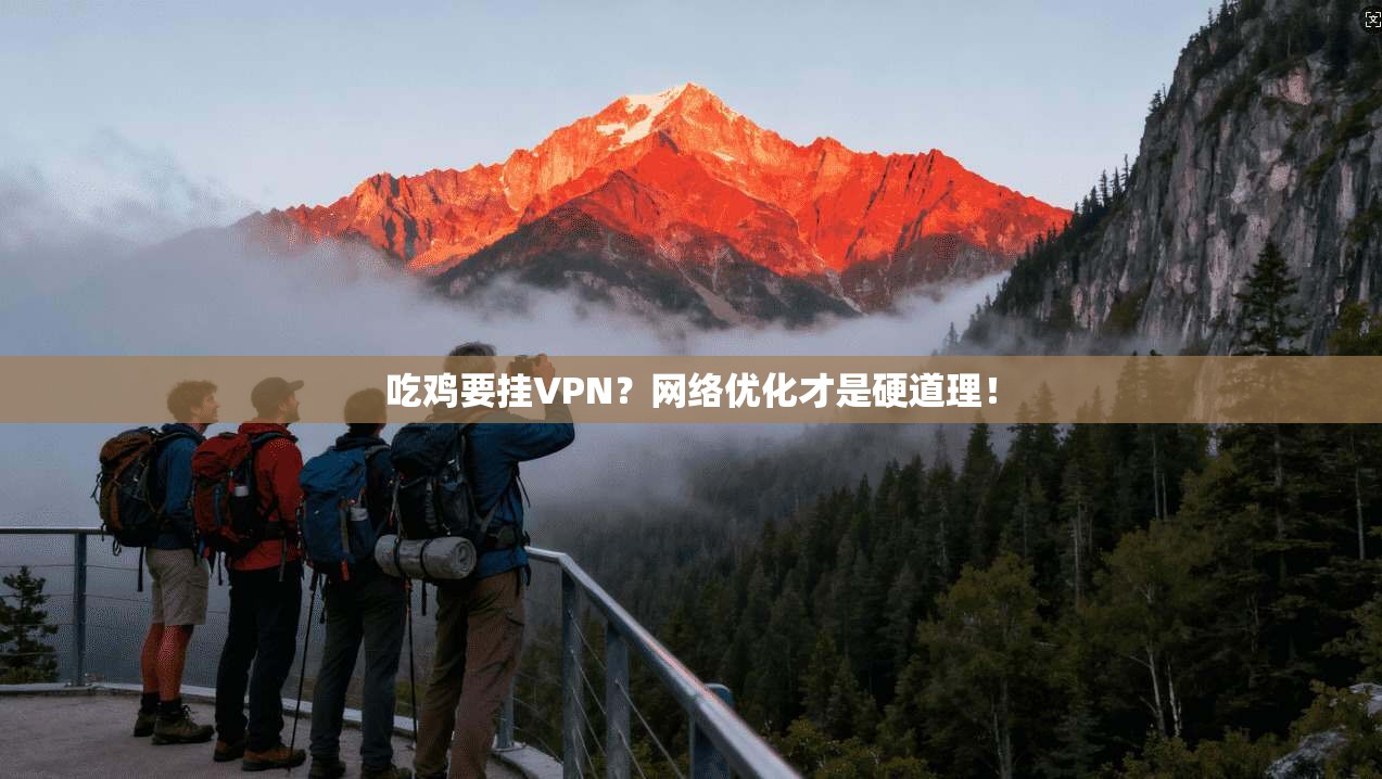 吃鸡要挂VPN?网络优化才是硬道理! 吃鸡要挂VPN?网络优化才是硬道理!