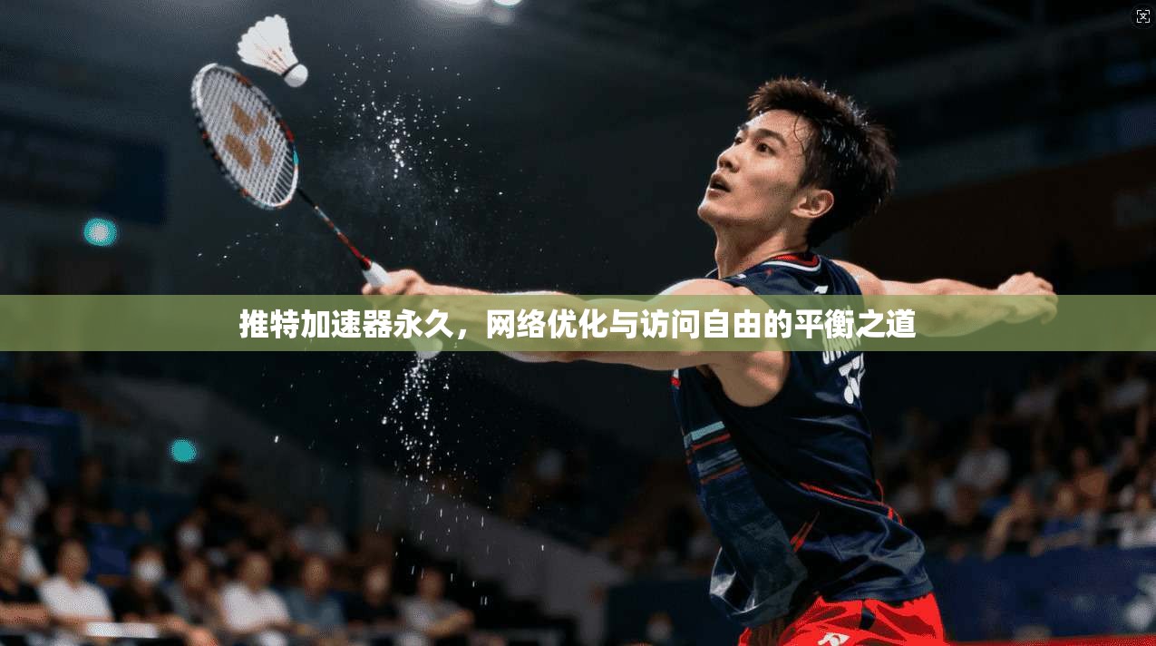 推特加速器永久，网络优化与访问自由的平衡之道