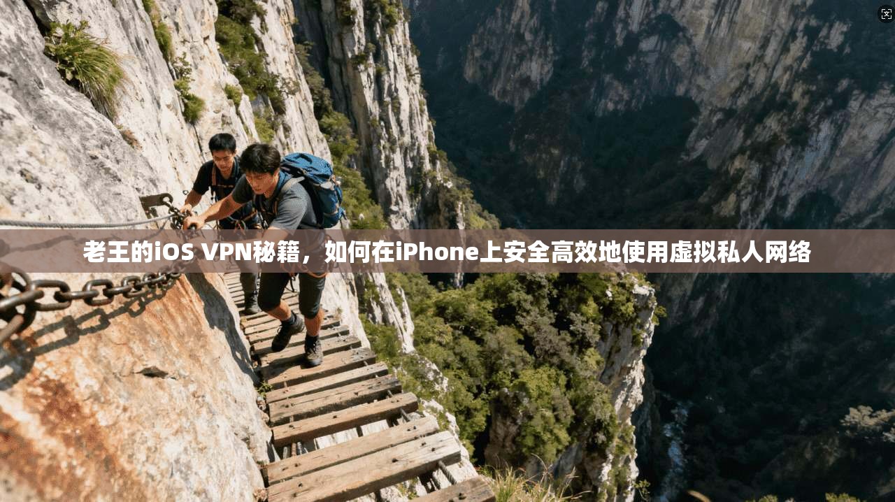 老王的iOS VPN秘籍，如何在iPhone上安全高效地使用虚拟私人网络
