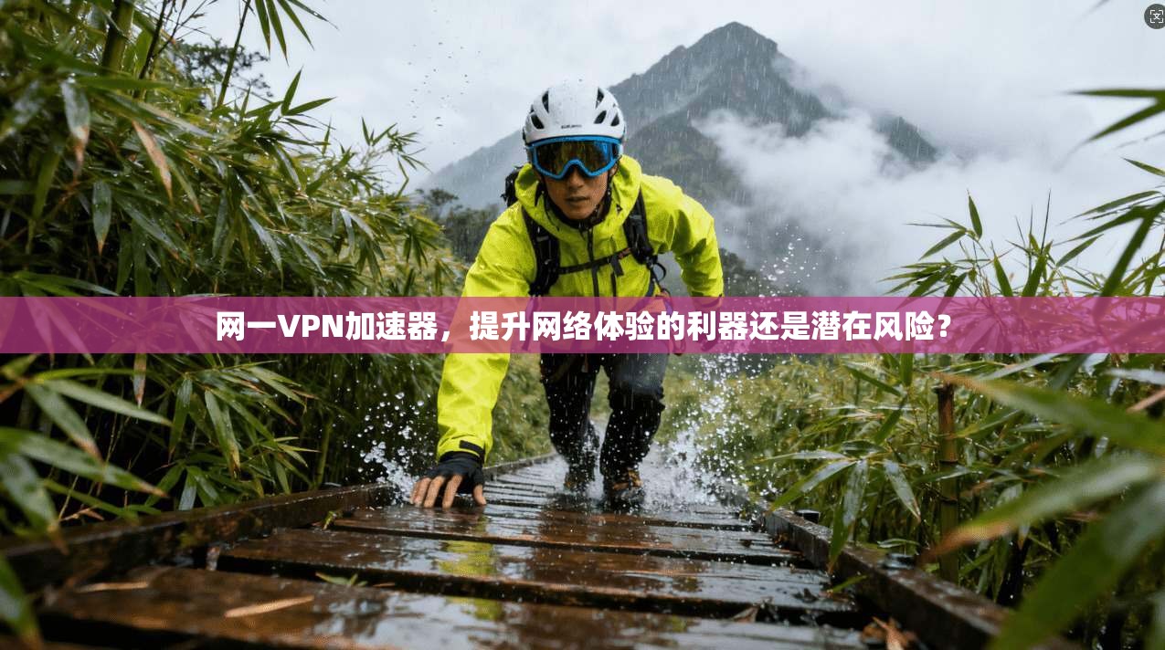 网一VPN加速器，提升网络体验的利器还是潜在风险？