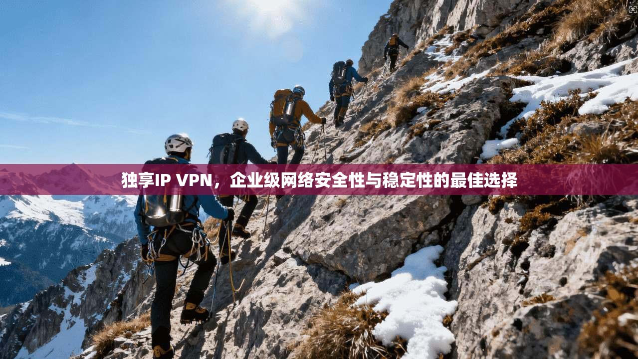 独享IP VPN，企业级网络安全性与稳定性的最佳选择