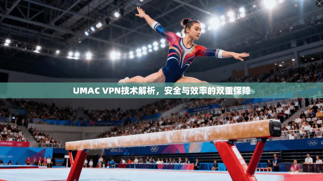 UMAC VPN技术解析，安全与效率的双重保障