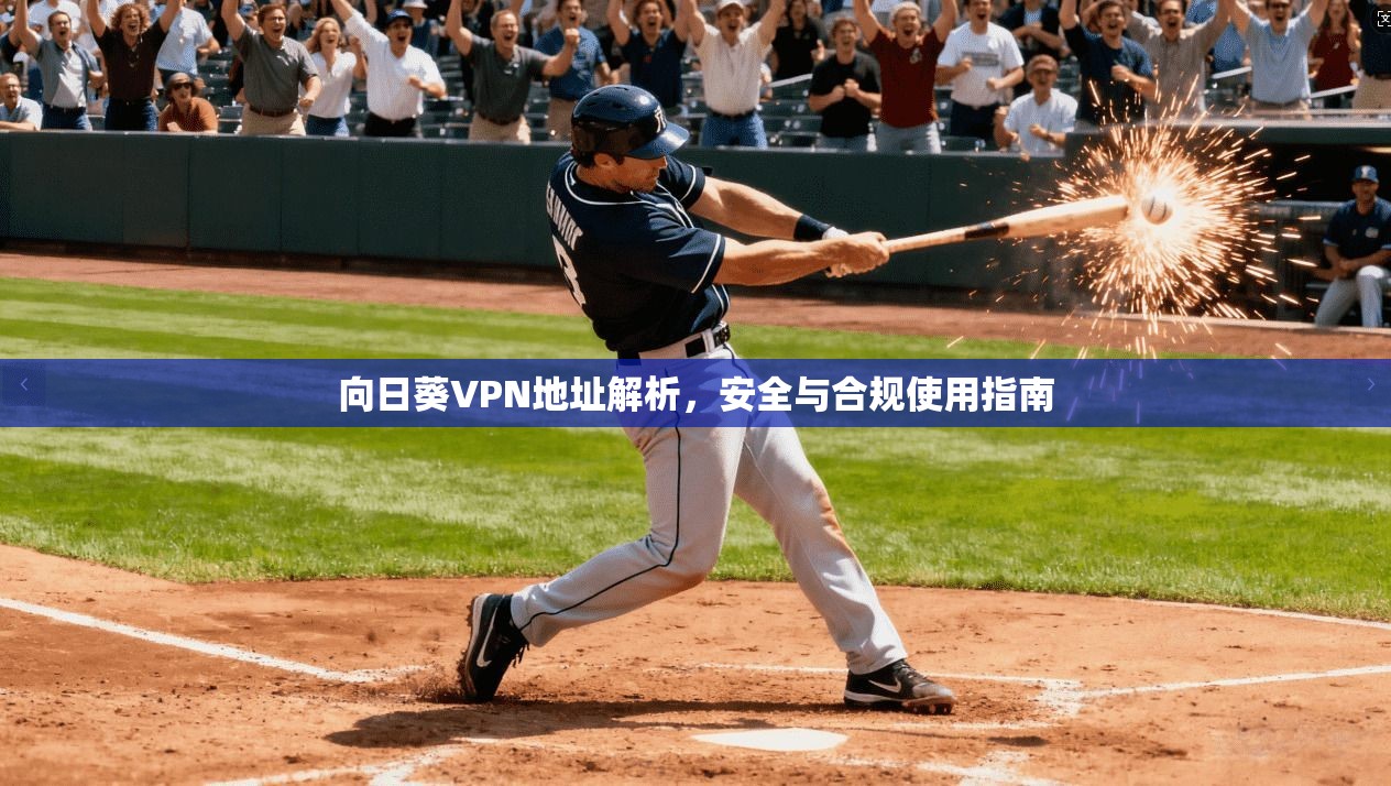 向日葵VPN地址解析,安全与合规使用指南 向日葵VPN地址解析,安全与合规使用指南