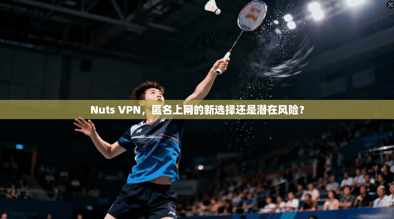 Nuts VPN,匿名上网的新选择还是潜在风险? Nuts VPN,匿名上网的新选择还是潜在风险?