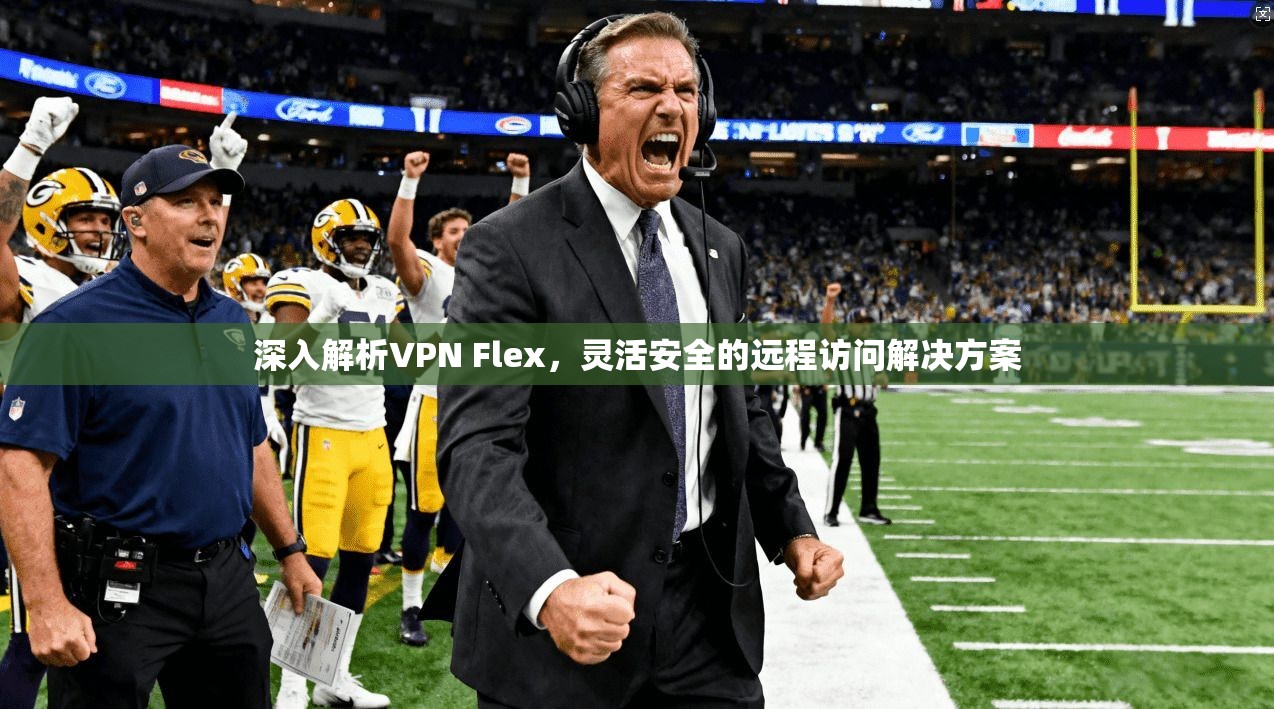 深入解析VPN Flex，灵活安全的远程访问解决方案